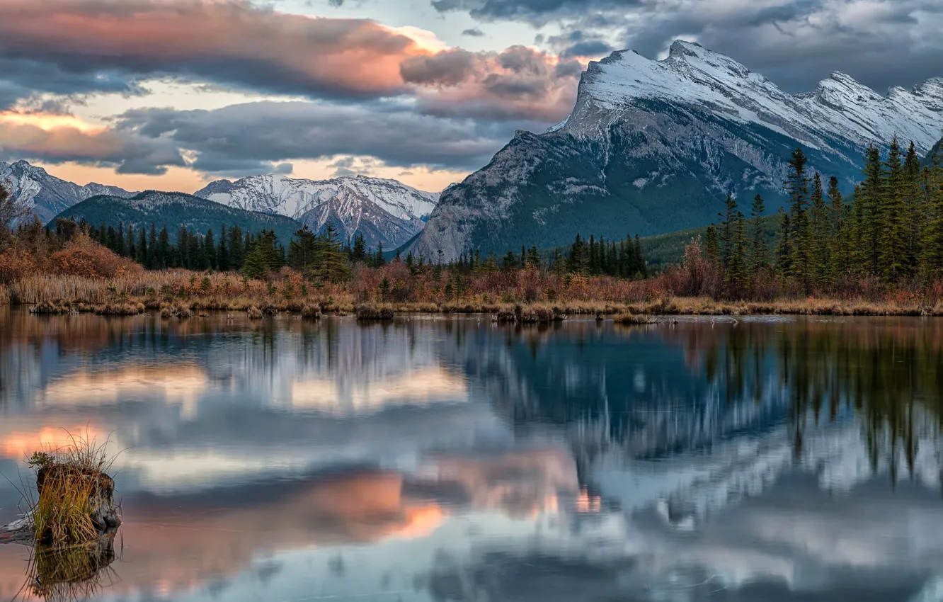Photo wallpaper forest, mountains, lake, Canada, Albert, Banff National Park, Alberta, Canada