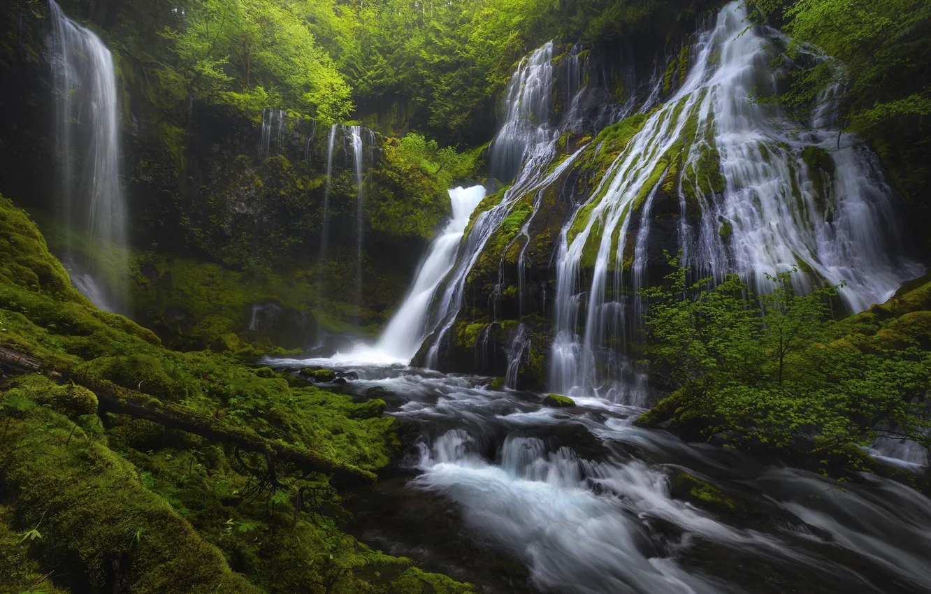 Photo wallpaper forest, rocks, waterfall, stream