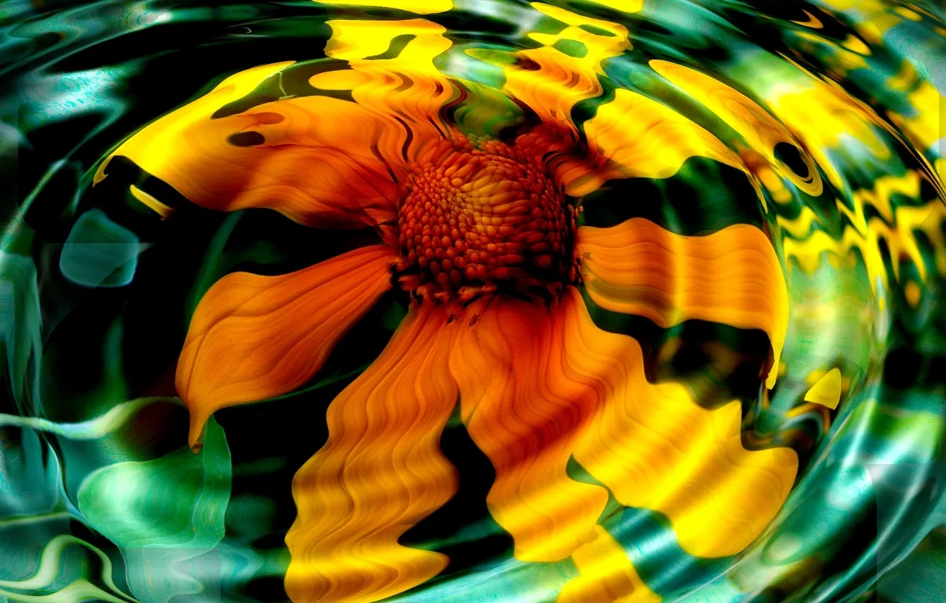 Photo wallpaper petals, Yellow flower, circles on the water