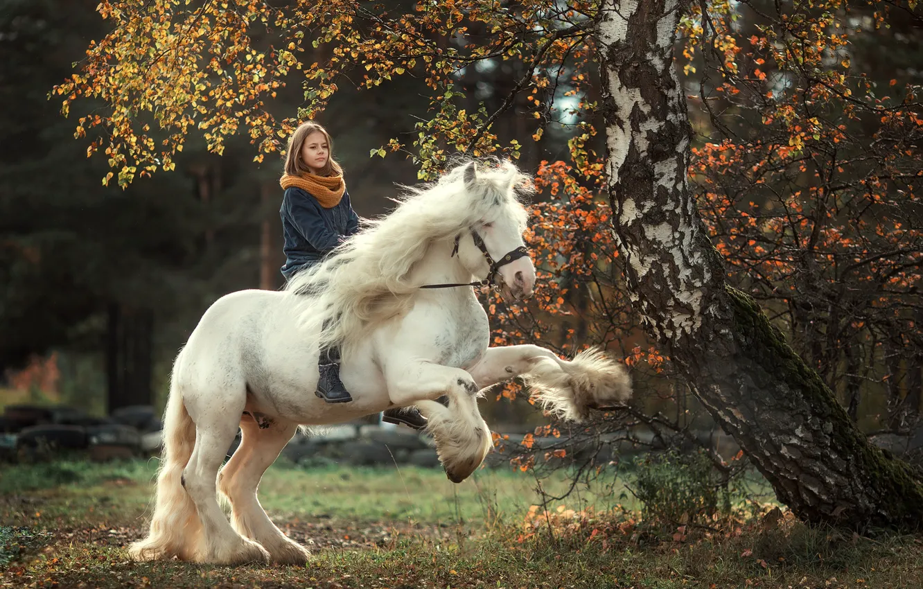 Photo wallpaper autumn, white, horse, horse, girl, horse