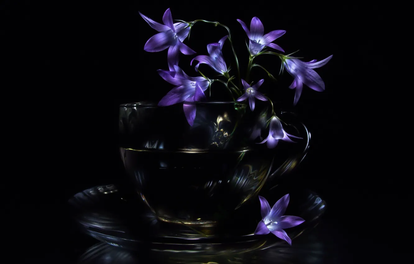 Photo wallpaper Cup, black background, bells