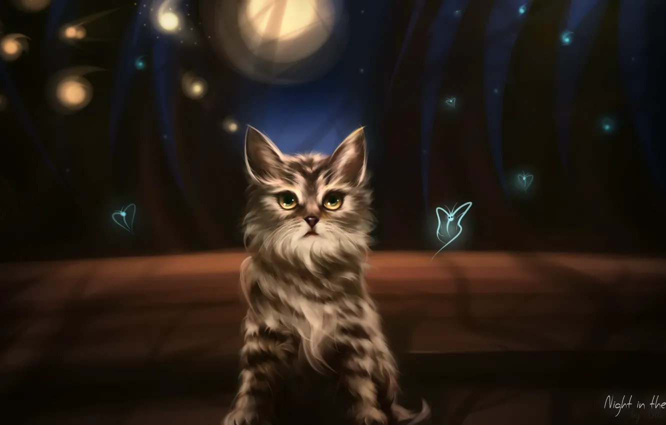 Photo wallpaper cat, bench, night, Park, shadow, the evening, lights, lights