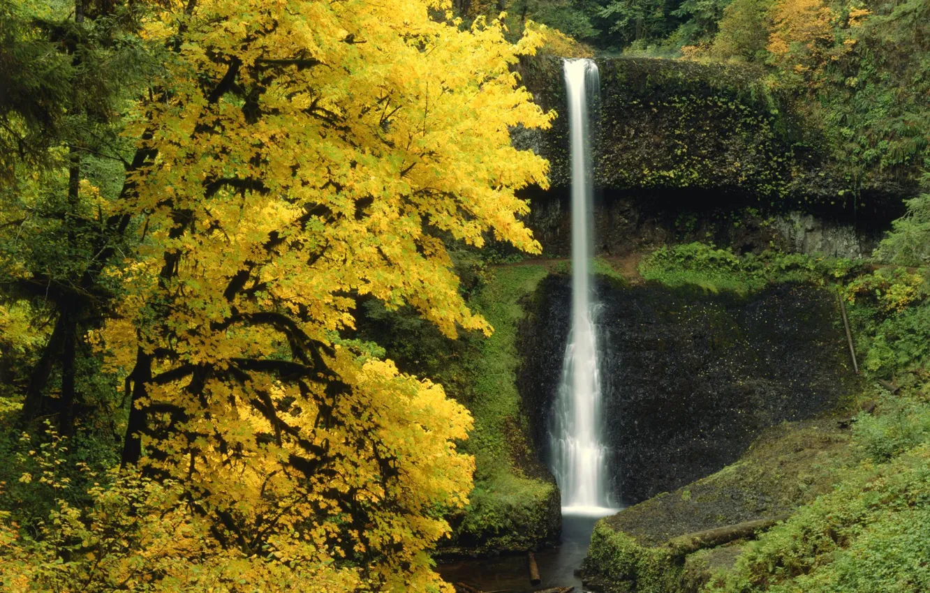 Photo wallpaper autumn, forest, trees, nature, waterfall