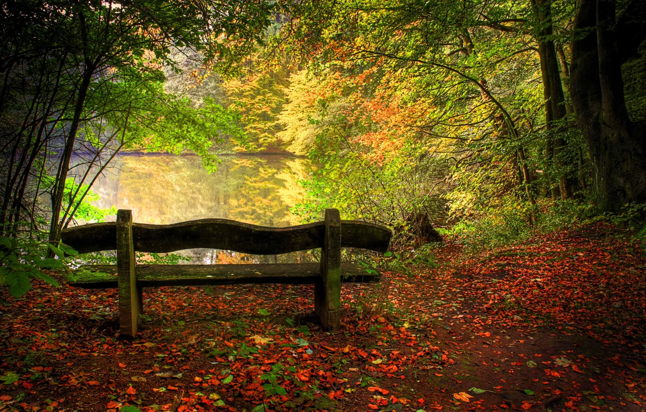 Photo wallpaper trees, landscape, lake, in the fall, nature