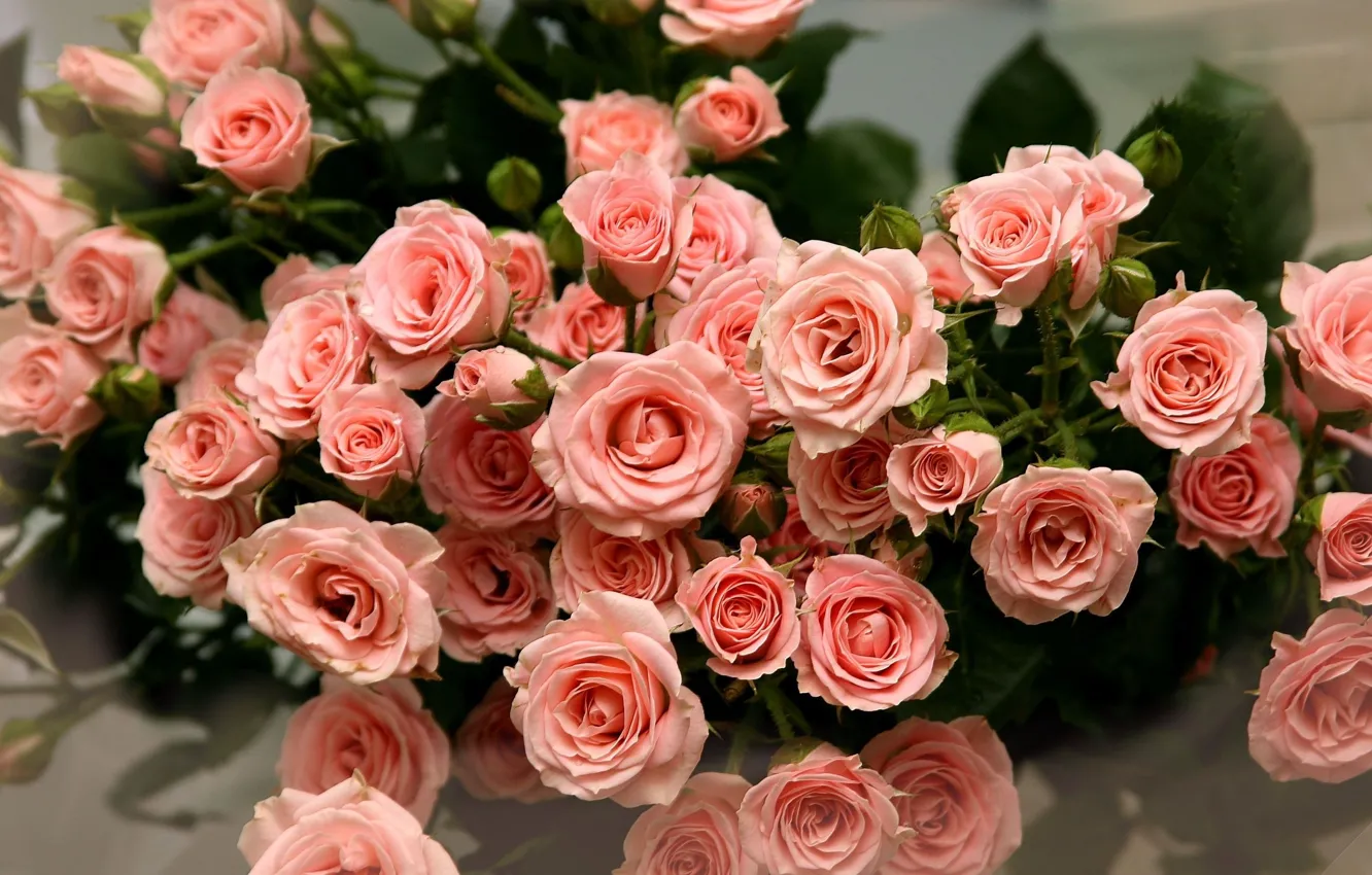 Photo wallpaper roses, bouquet, petals