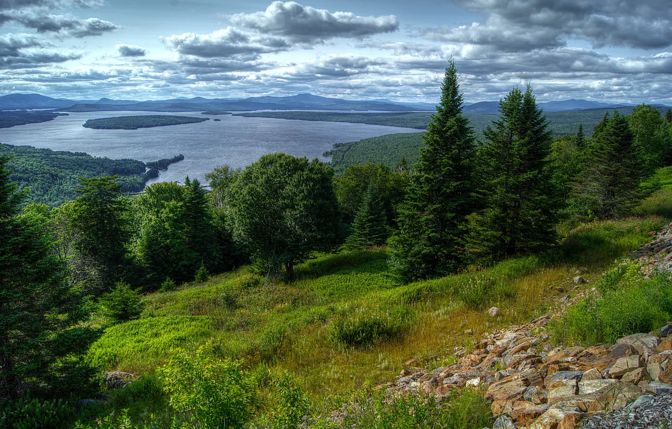 Photo wallpaper forest, clouds, trees, mountains, lake, stones, slope, panorama