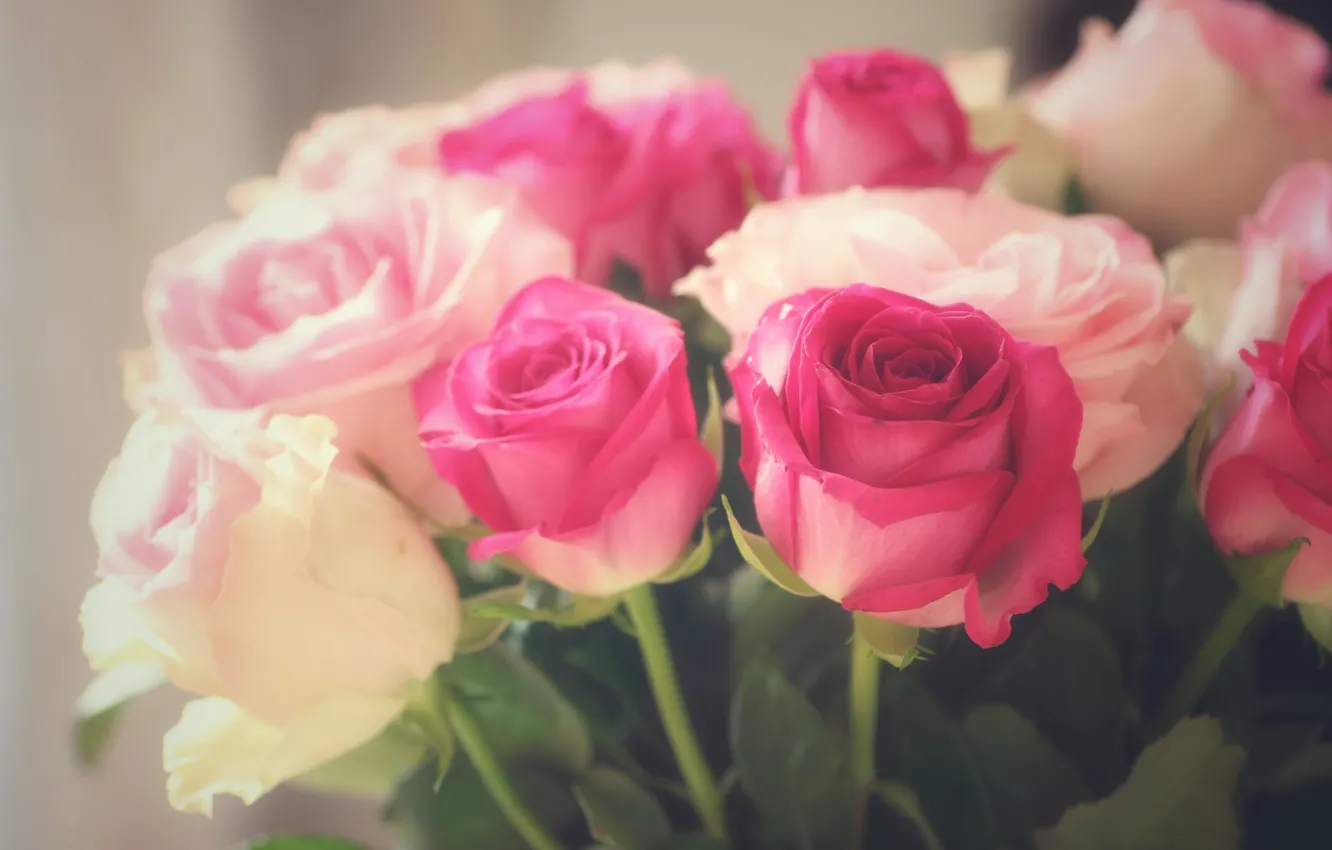 Photo wallpaper flowers, roses, bouquet, pink, white
