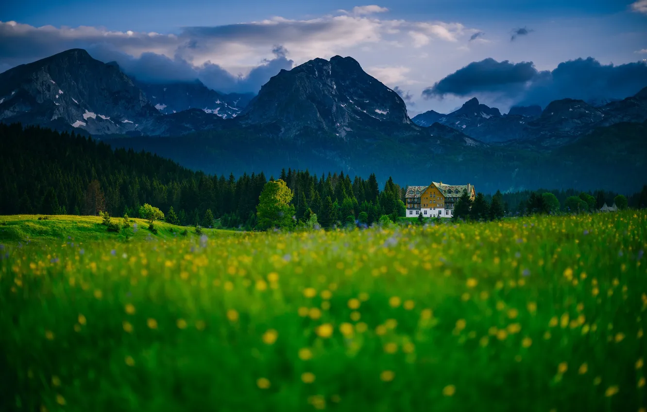 Photo wallpaper forest, mountains, house, meadow, Montenegro, Montenegro, Žabljak, Durmitor Mountain