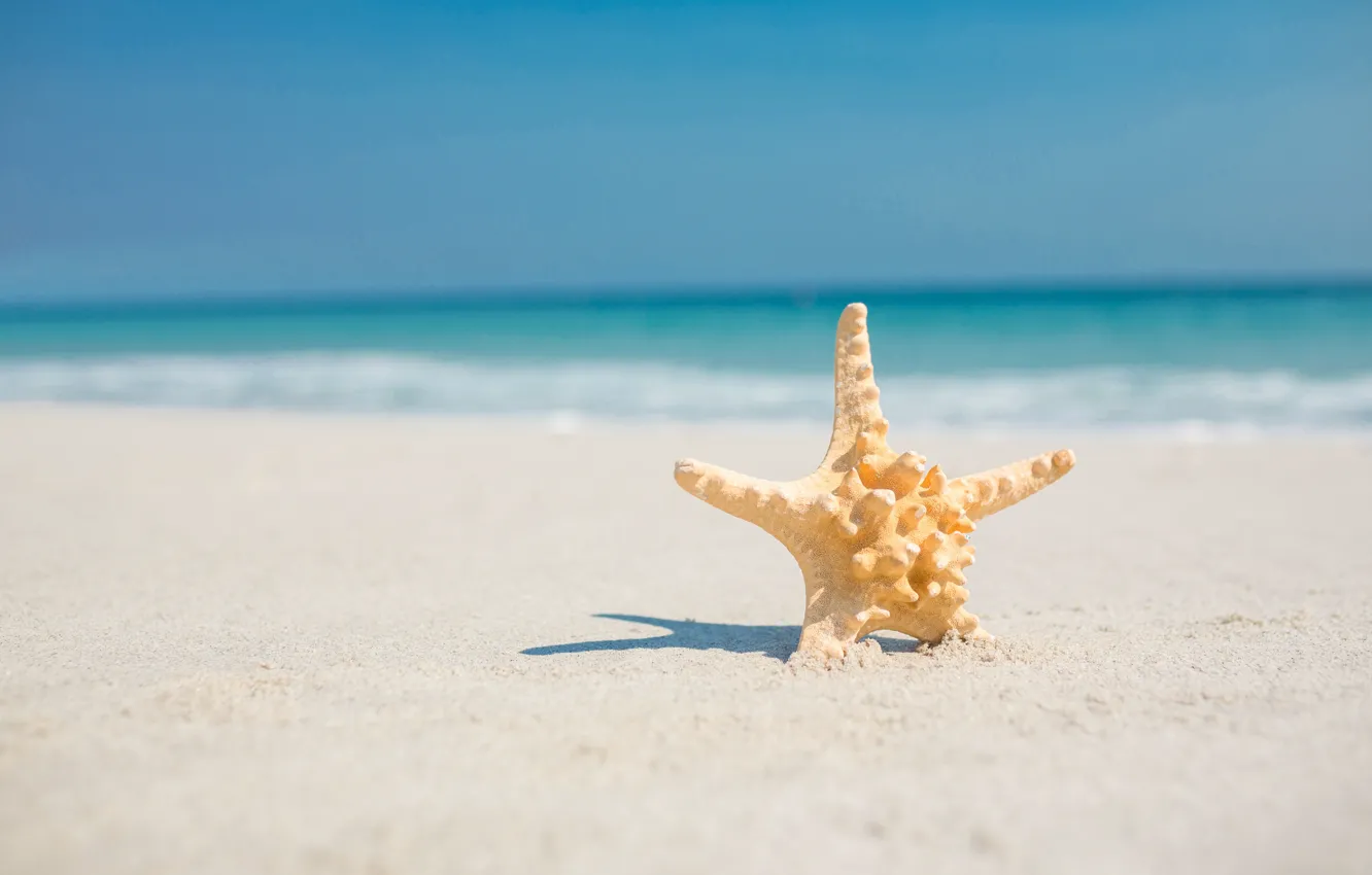 Photo wallpaper sand, sea, beach, stars, summer, beach, sea, sand