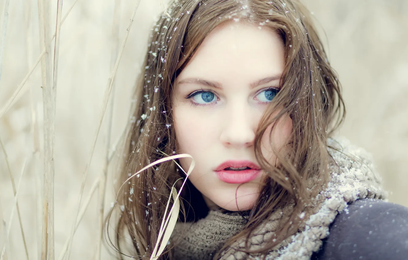Photo wallpaper look, snow, model, Ana-Carolina