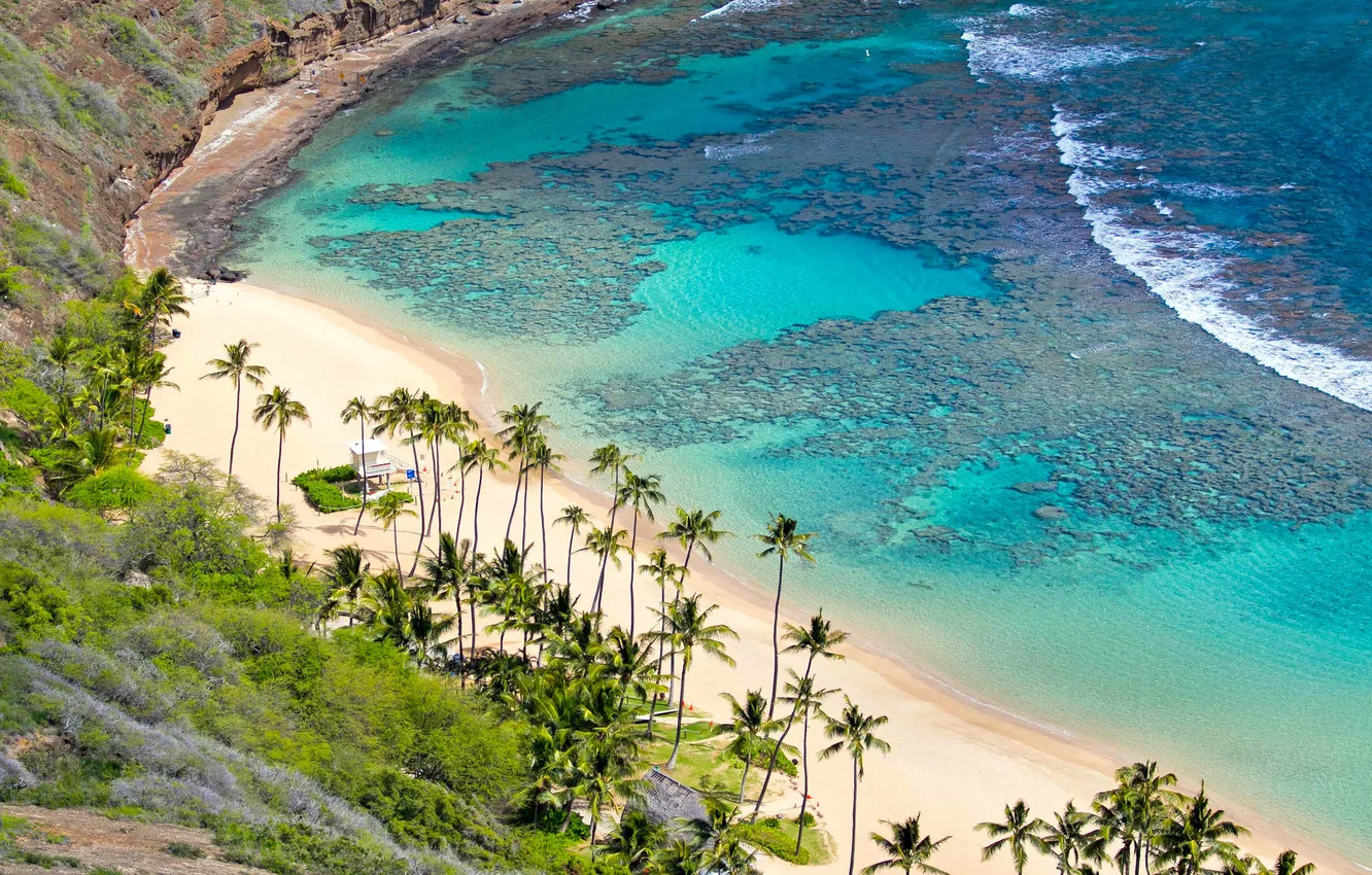 Photo wallpaper beach, palm trees, the ocean, Hawaii, Oahu, coral reef