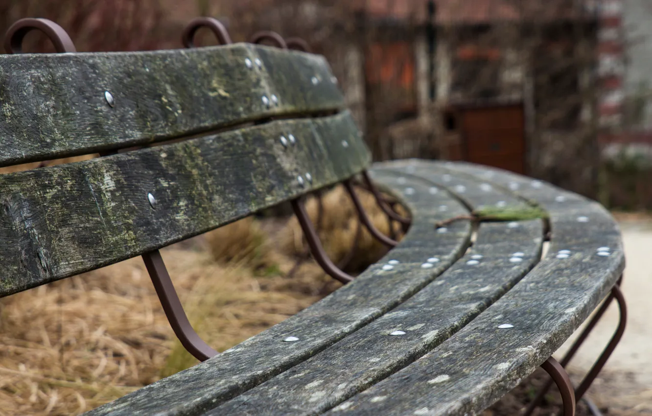 Photo wallpaper bench, bokeh, Circular bench
