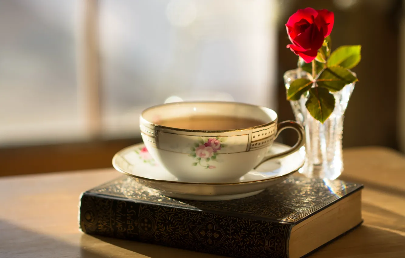 Photo wallpaper roses, Cup, book