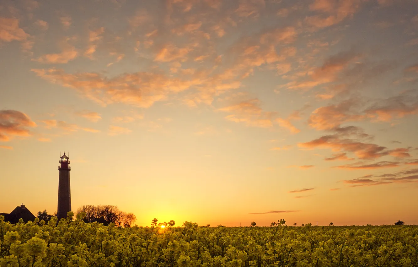Photo wallpaper field, clouds, sunset, flowers, lighthouse