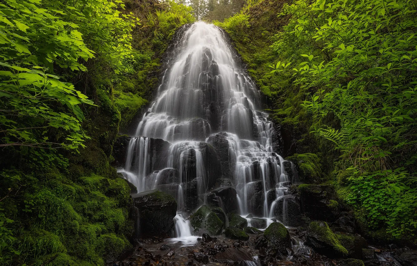 Photo wallpaper forest, waterfall, Oregon, cascade, Oregon, Columbia River Gorge, Fairy Falls, the Columbia river gorge