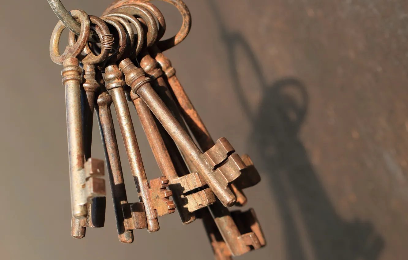 Photo wallpaper macro, background, key