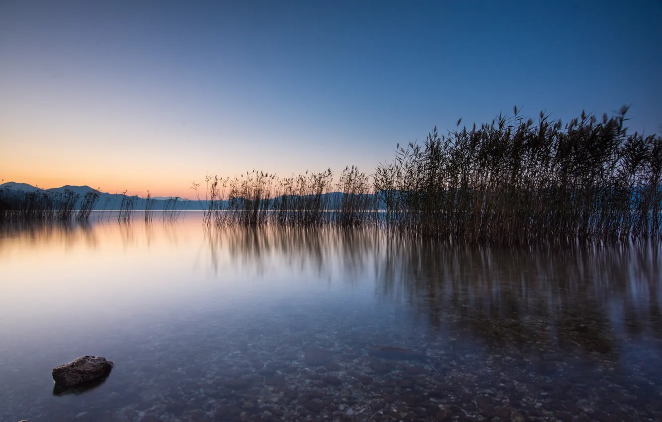 Photo wallpaper lake, dawn, morning, Greece, reed, Greece, Lake Trichonida, Lake Trichonida