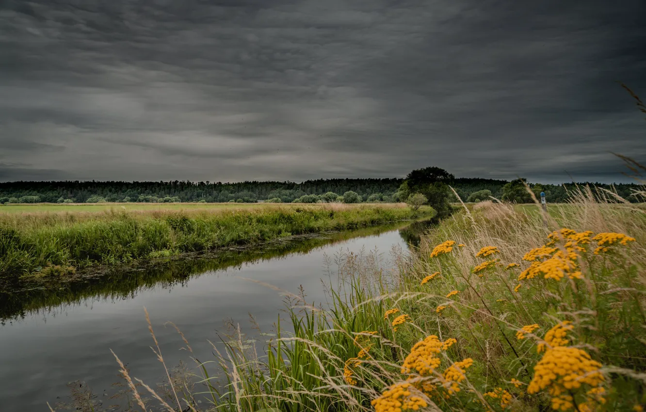 Photo wallpaper clouds, river, shore, tansy