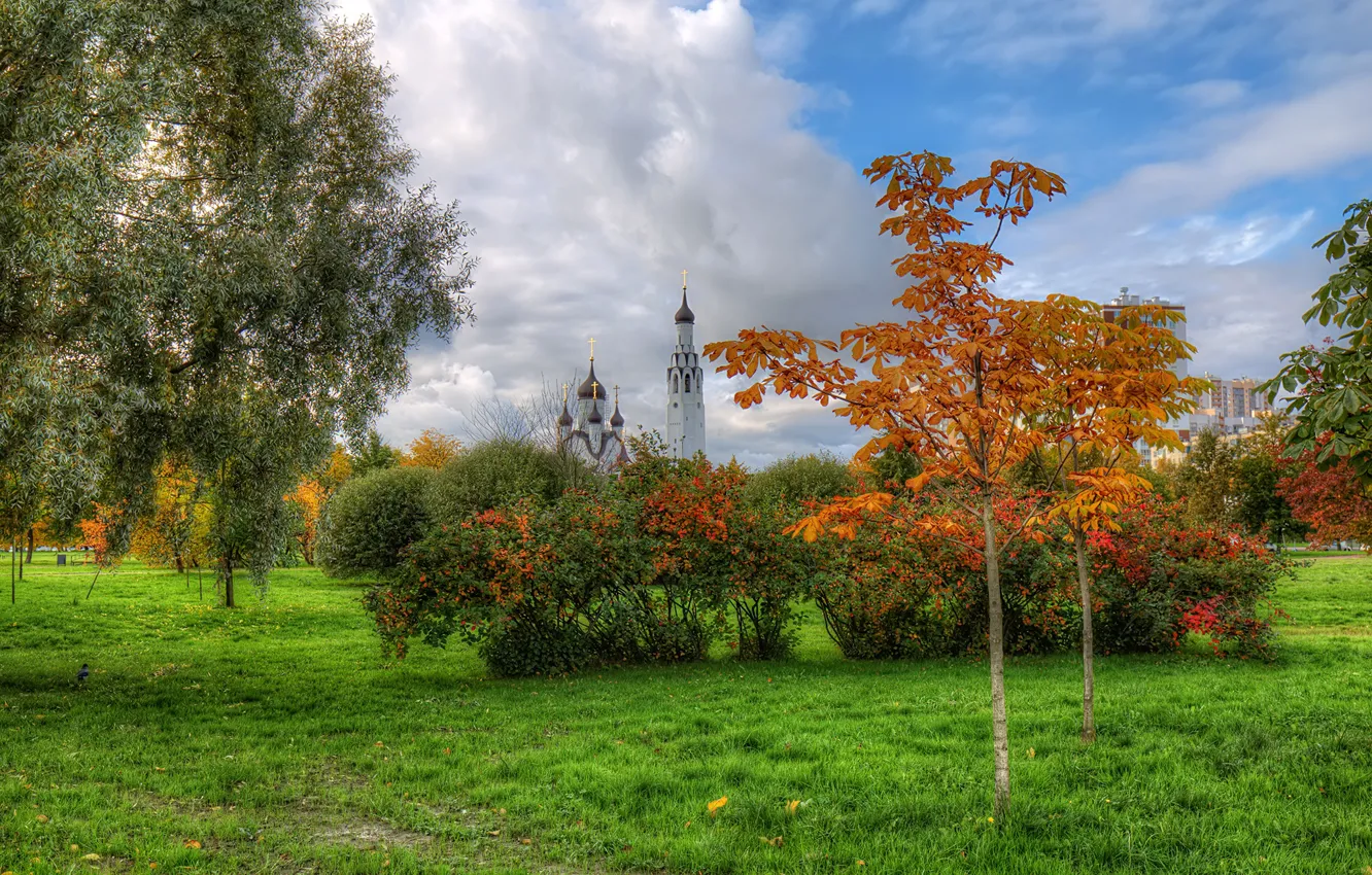 Photo wallpaper autumn, the sky, grass, clouds, trees, Park, HDR, home