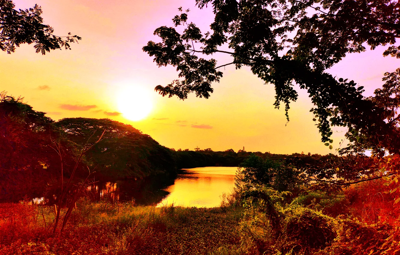Photo wallpaper sky, trees, water, lake, morning, sun, sunrise, dawn