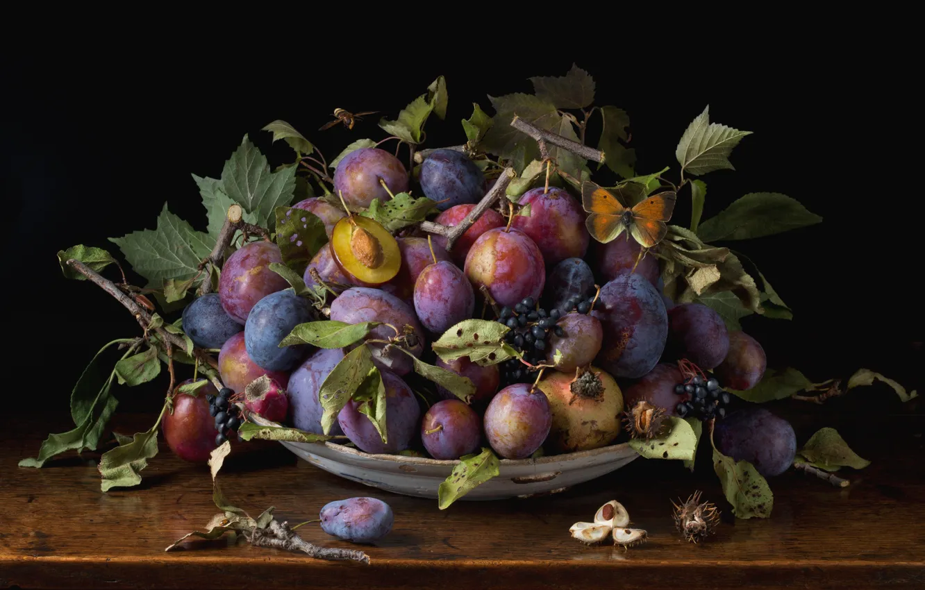 Photo wallpaper butterfly, fruit, plum