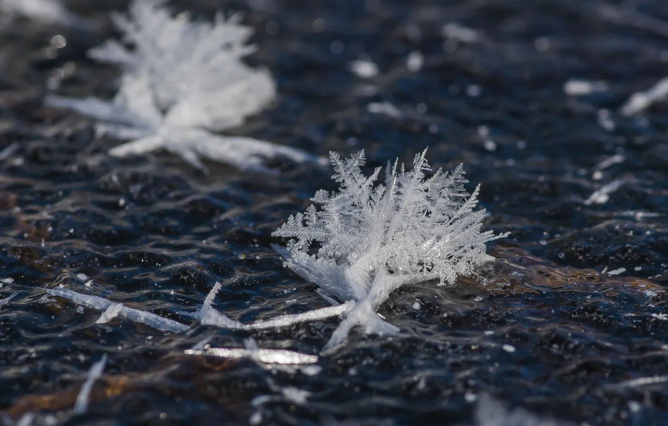 Photo wallpaper ice, winter, macro, snowflakes, pattern