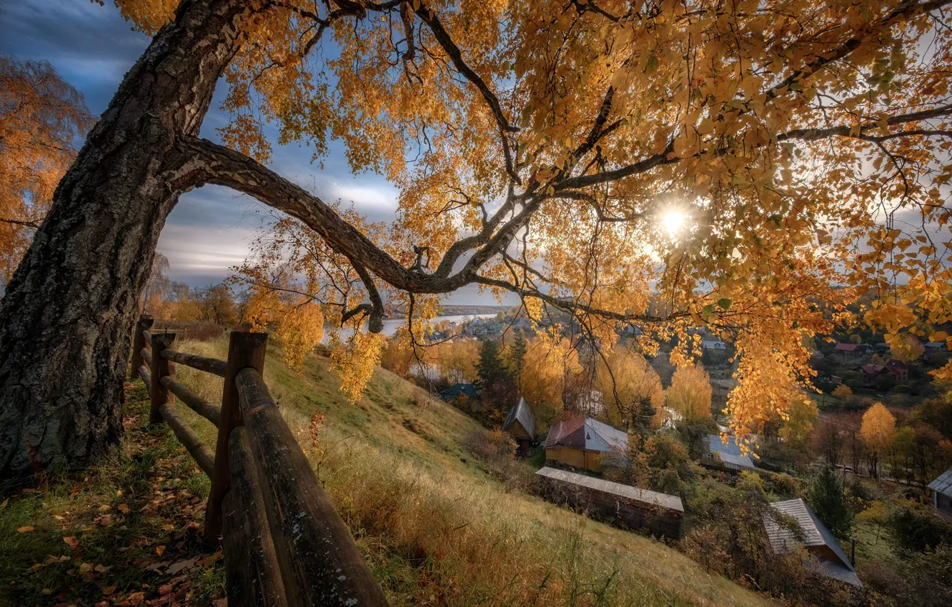 Photo wallpaper autumn, the sun, rays, landscape, nature, the city, tree, home