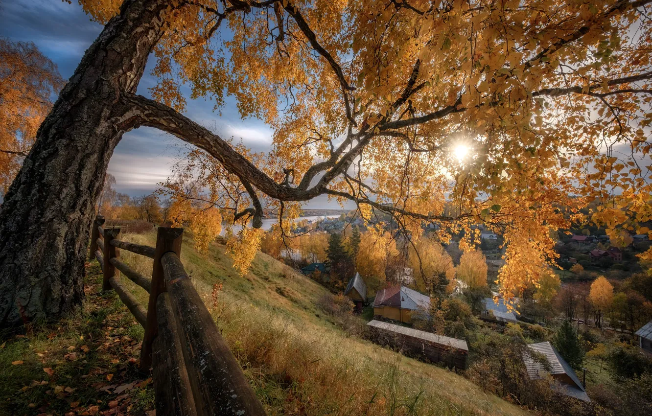 Photo wallpaper autumn, the sun, rays, trees, landscape, nature, the city, home