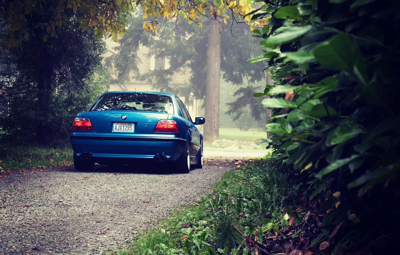 Photo wallpaper forest, lights, BMW, BMW, e38, stance, 750il, rear tuning