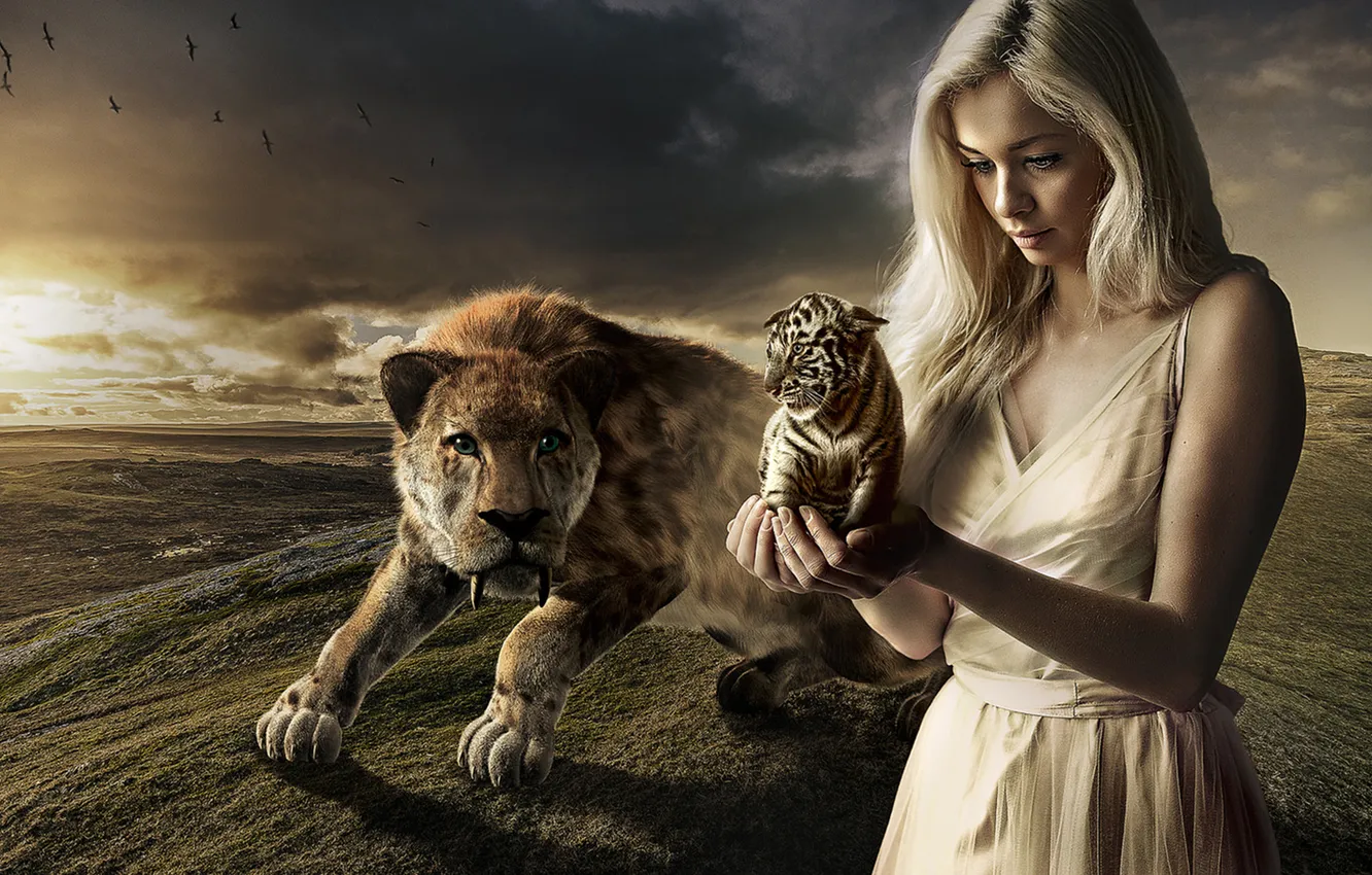 Photo wallpaper girl, Photoshop, photomanipulation, tiger, Sabretooth