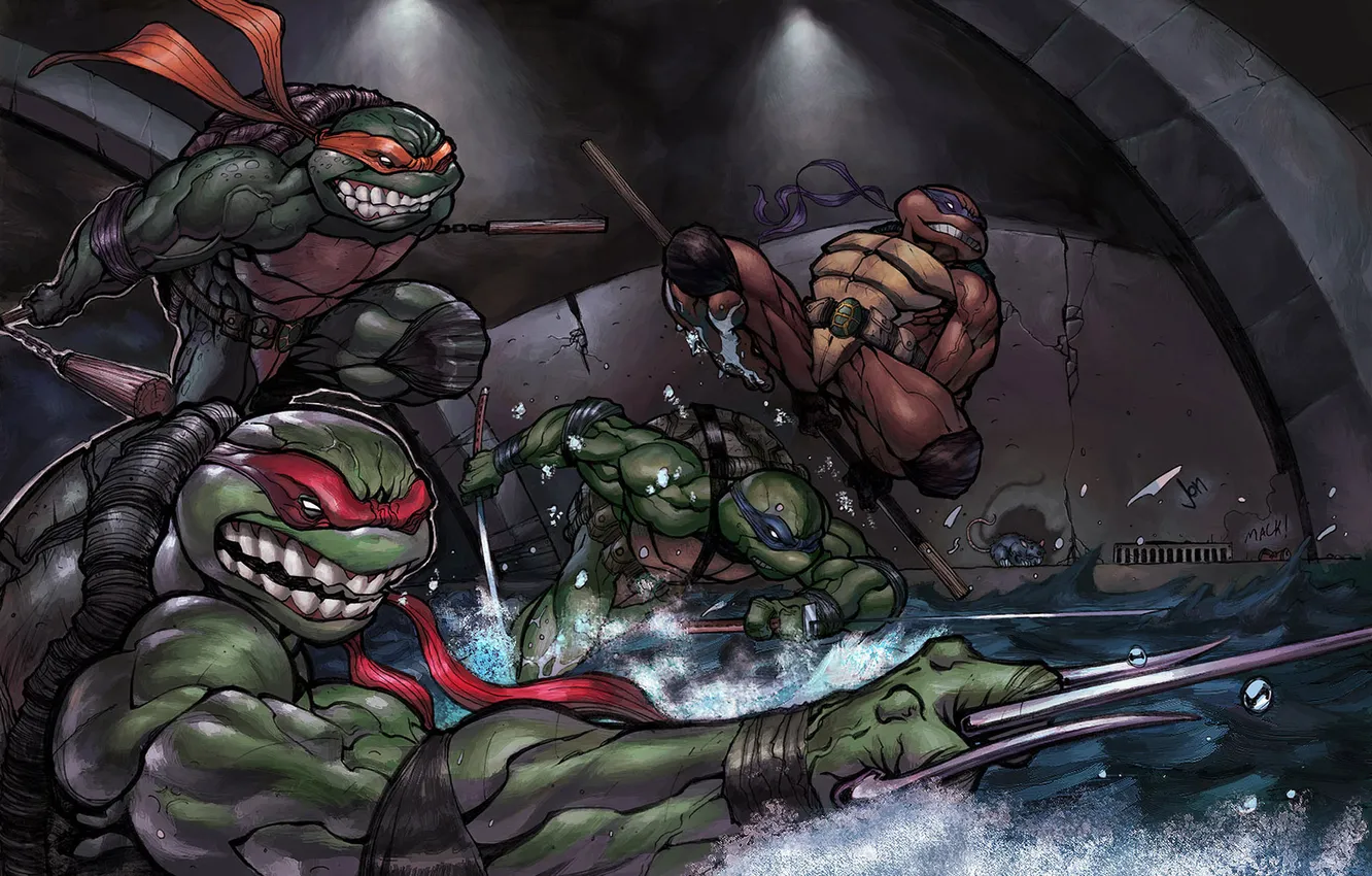 Photo wallpaper water, weapons, sword, ninja, rat, Rafael, bug, Donatello