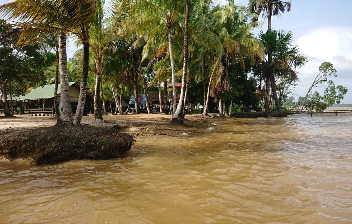 Photo wallpaper Nature in Suriname, Suriname wallpapers, Overbridge resort Suriname