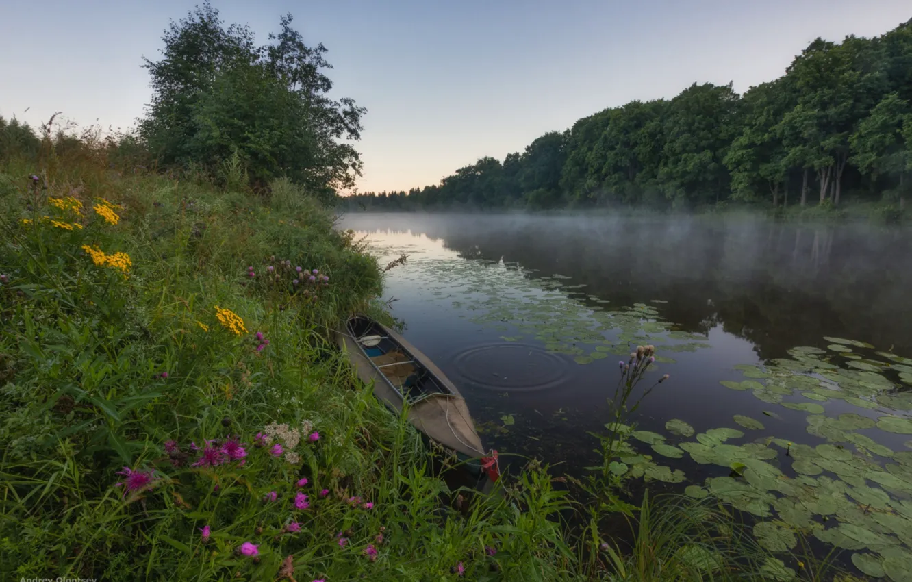Photo wallpaper summer, grass, trees, flowers, river, boat