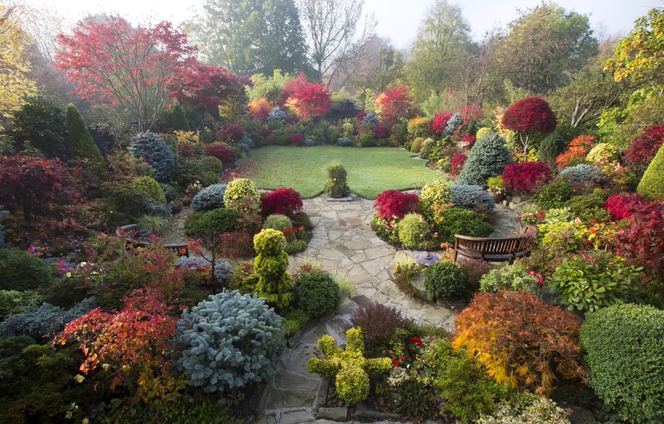 Photo wallpaper autumn, trees, flowers, design, fog, lawn, England, garden