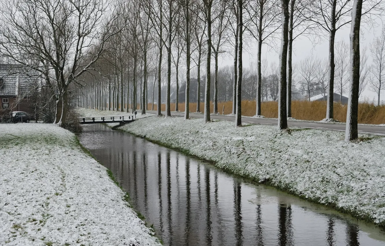 Photo wallpaper road, snow, trees