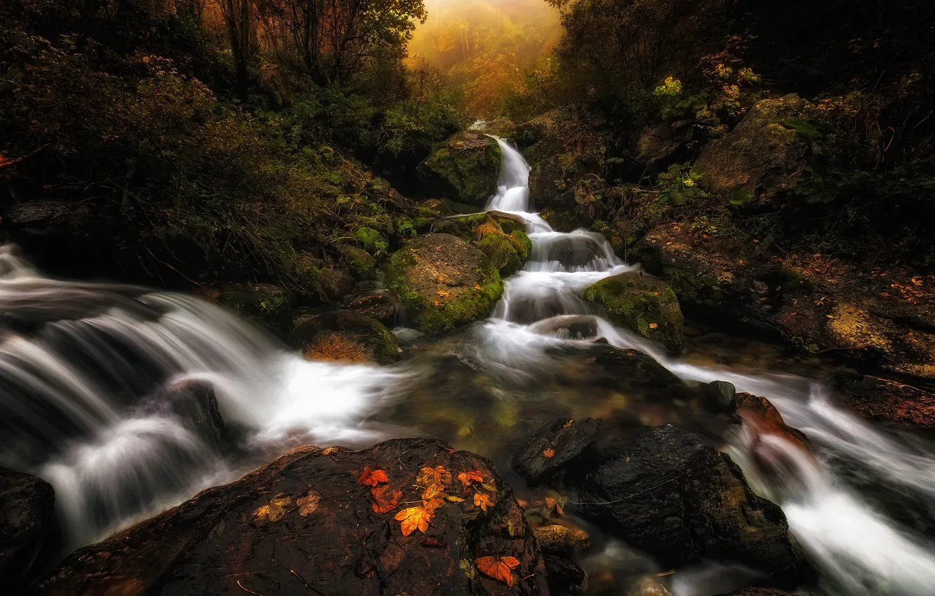 Photo wallpaper autumn, forest, leaves, trees, river, stream, Italy, Piedmont