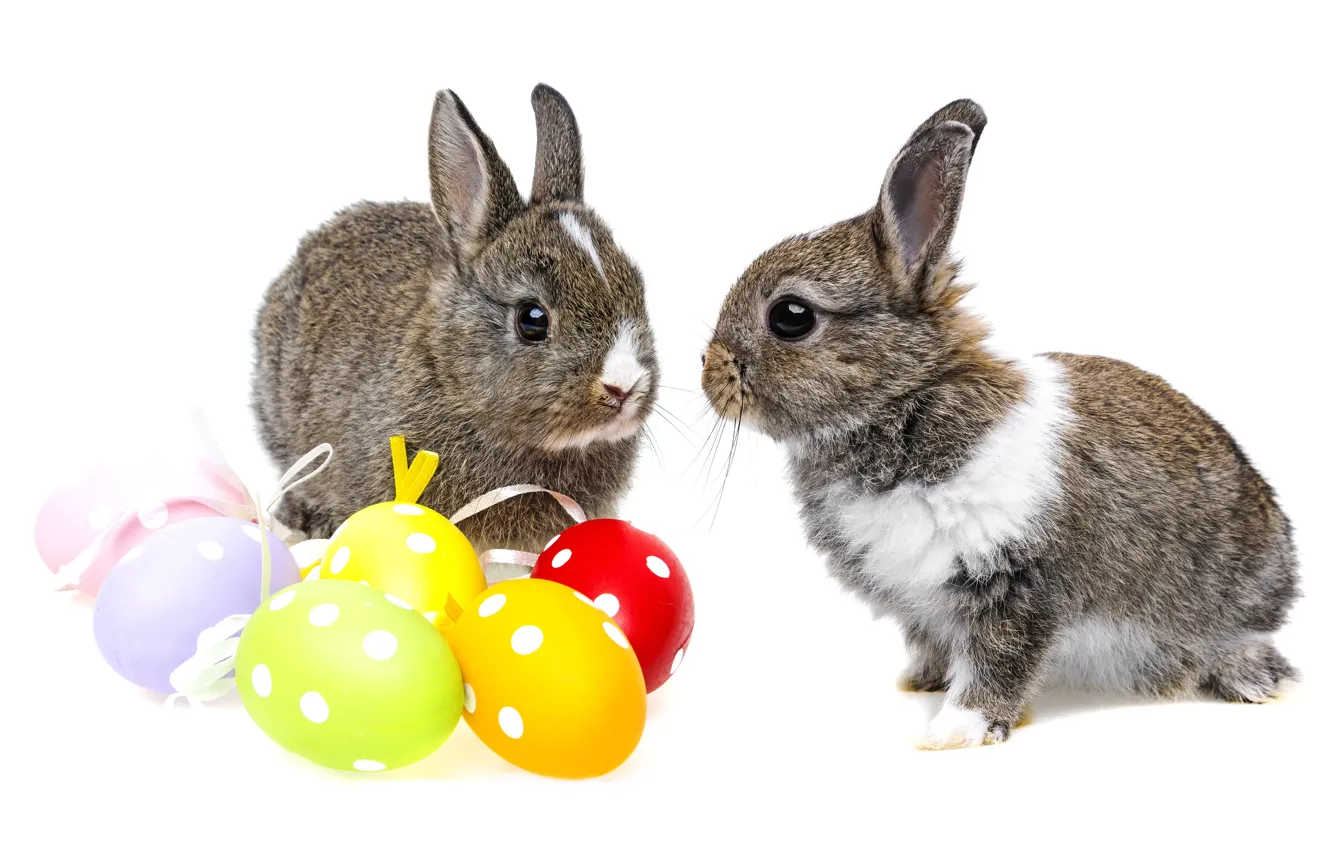 Photo wallpaper colorful, rabbit, Easter, rabbit, Easter, eggs, easter, bunny