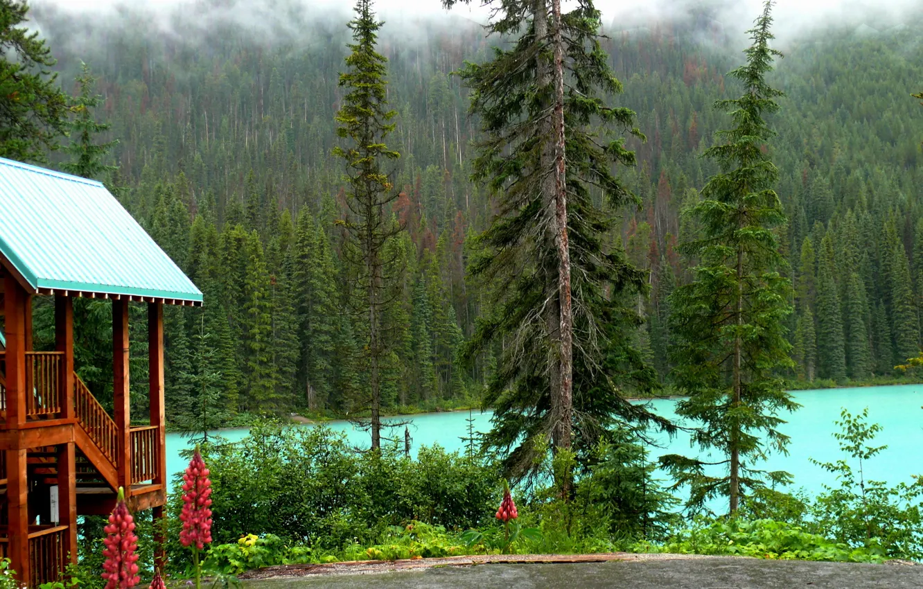 Photo wallpaper forest, trees, lake, house, shore, Canada, Yoho National Park