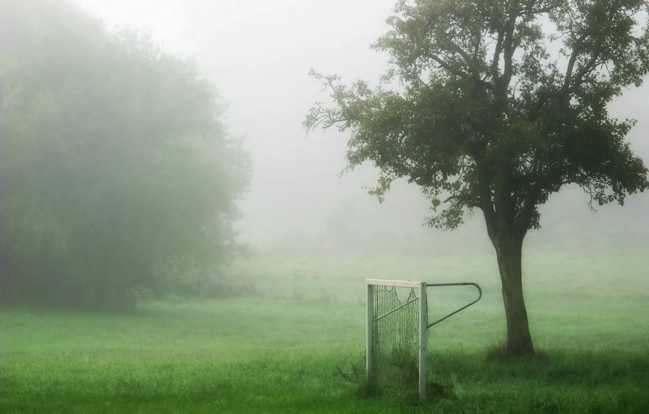 Photo wallpaper field, fog, sport, gate