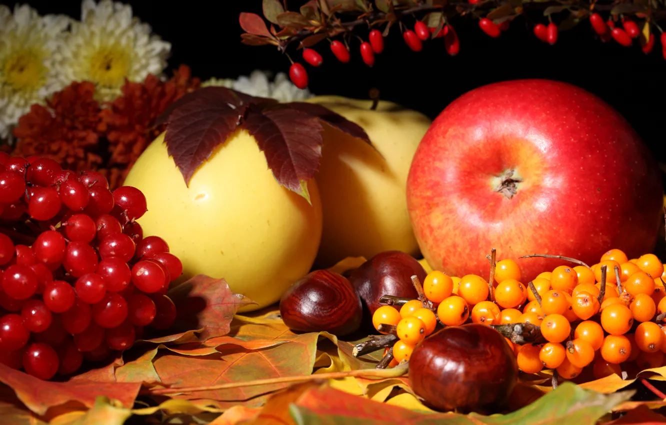Photo wallpaper autumn, leaves, flowers, apples, still life, chestnut, Kalina, sea buckthorn