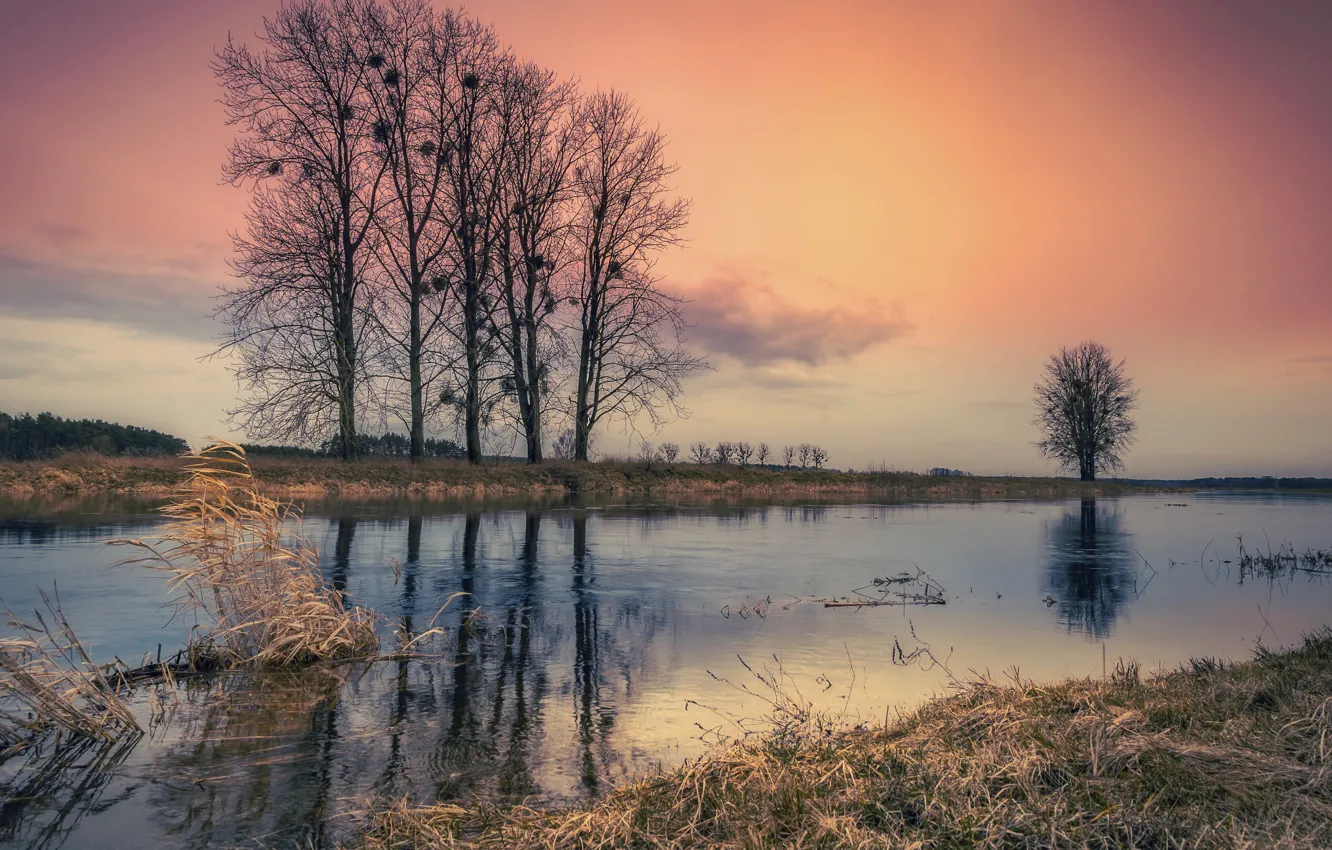 Photo wallpaper sunset, nature, puddle