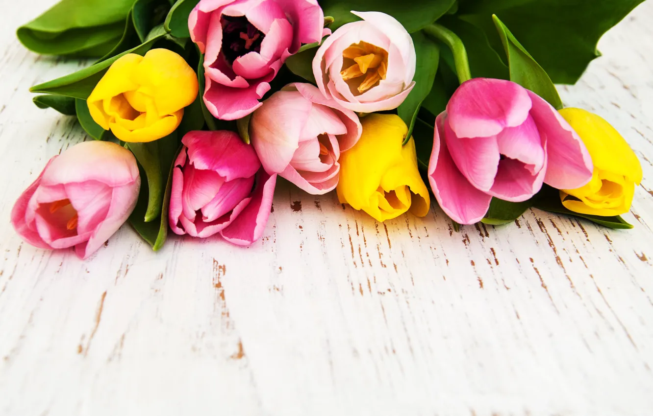 Photo wallpaper bouquet, yellow, tulips, pink, Olena Rudo