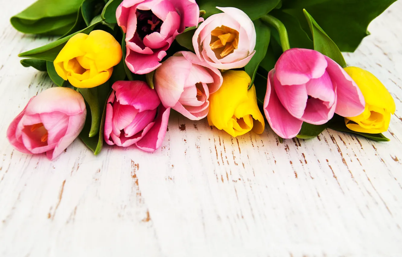 Photo wallpaper yellow, bouquet, tulips, pink, Olena Rudo