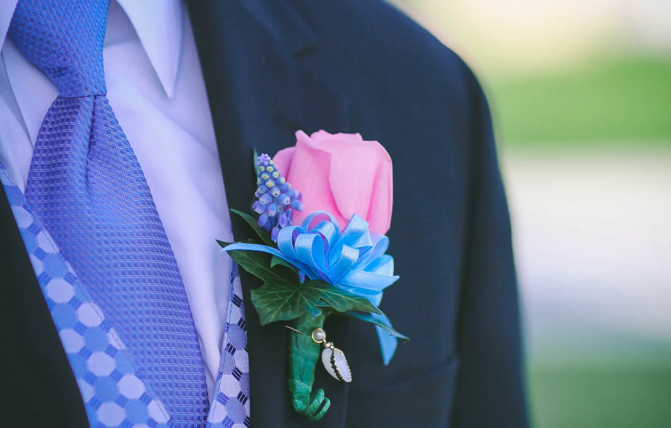 Photo wallpaper flower, rose, tape, the groom