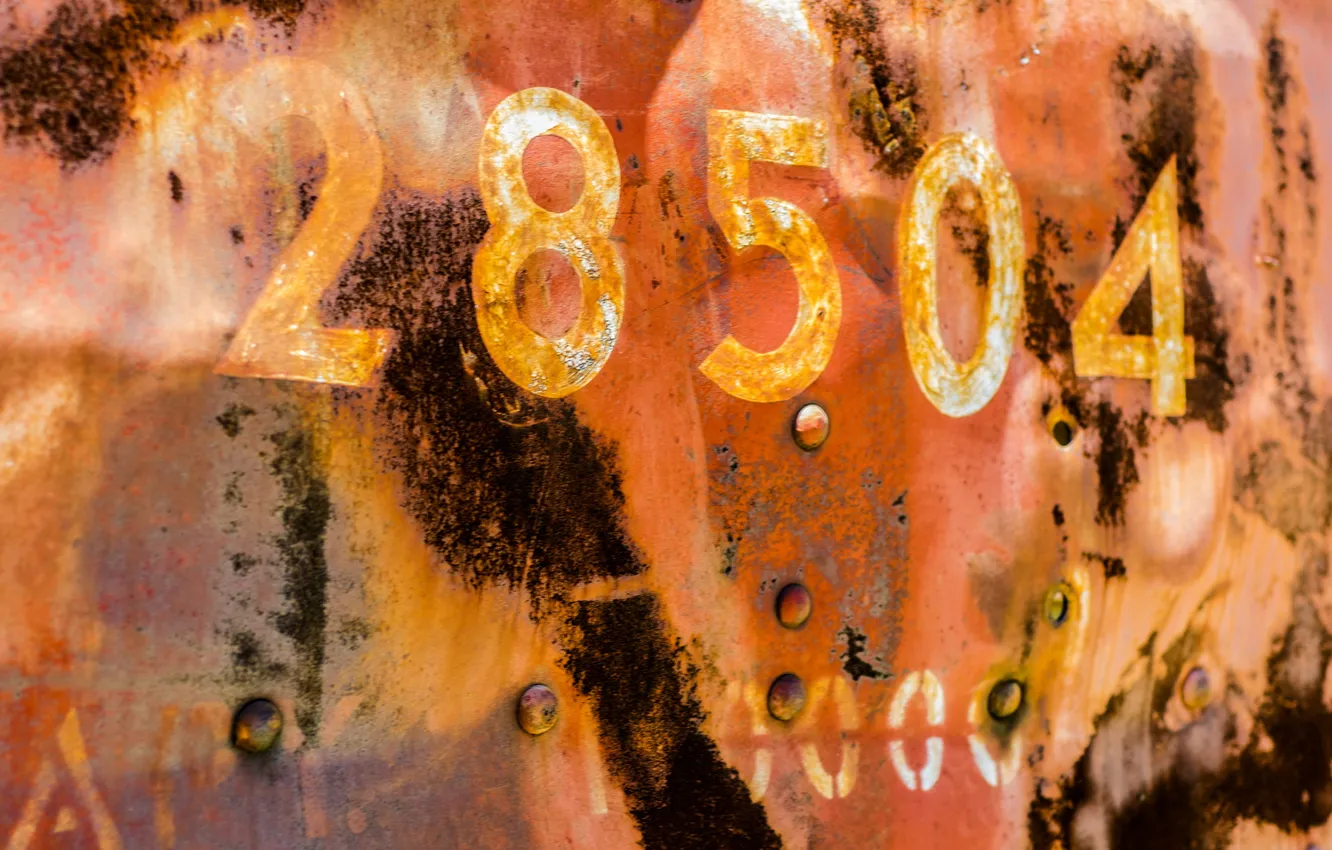 Photo wallpaper background, texture, room