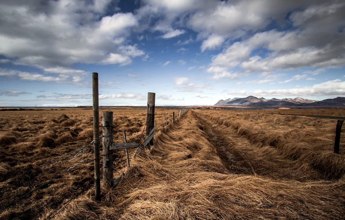 Photo wallpaper field, landscape, the fence