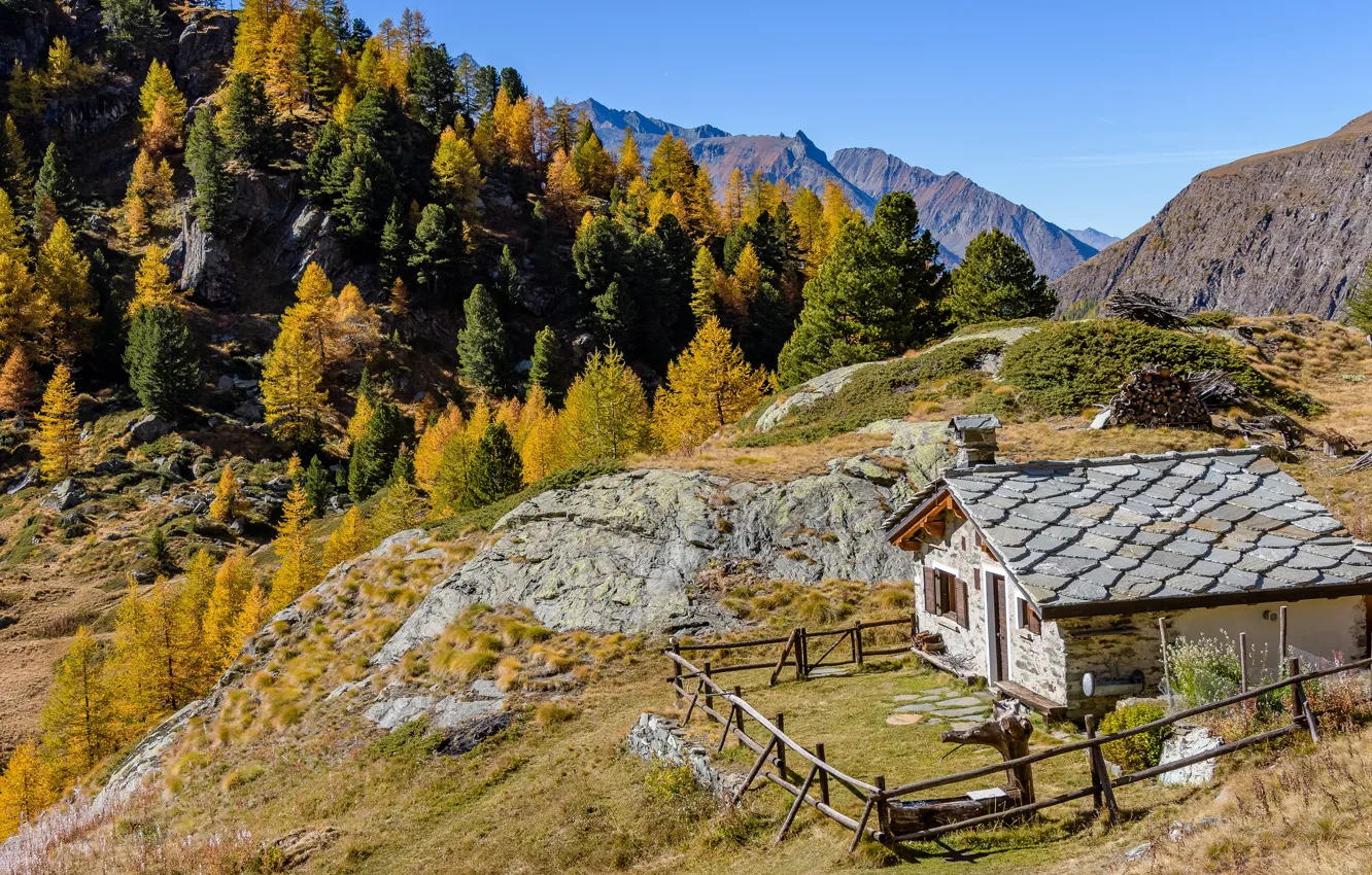 Photo wallpaper trees, mountains, home, house
