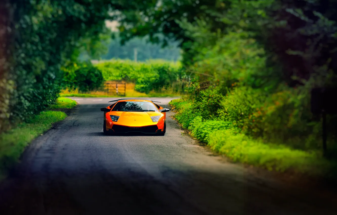 Photo wallpaper road, summer, Lamborghini, Murcielago