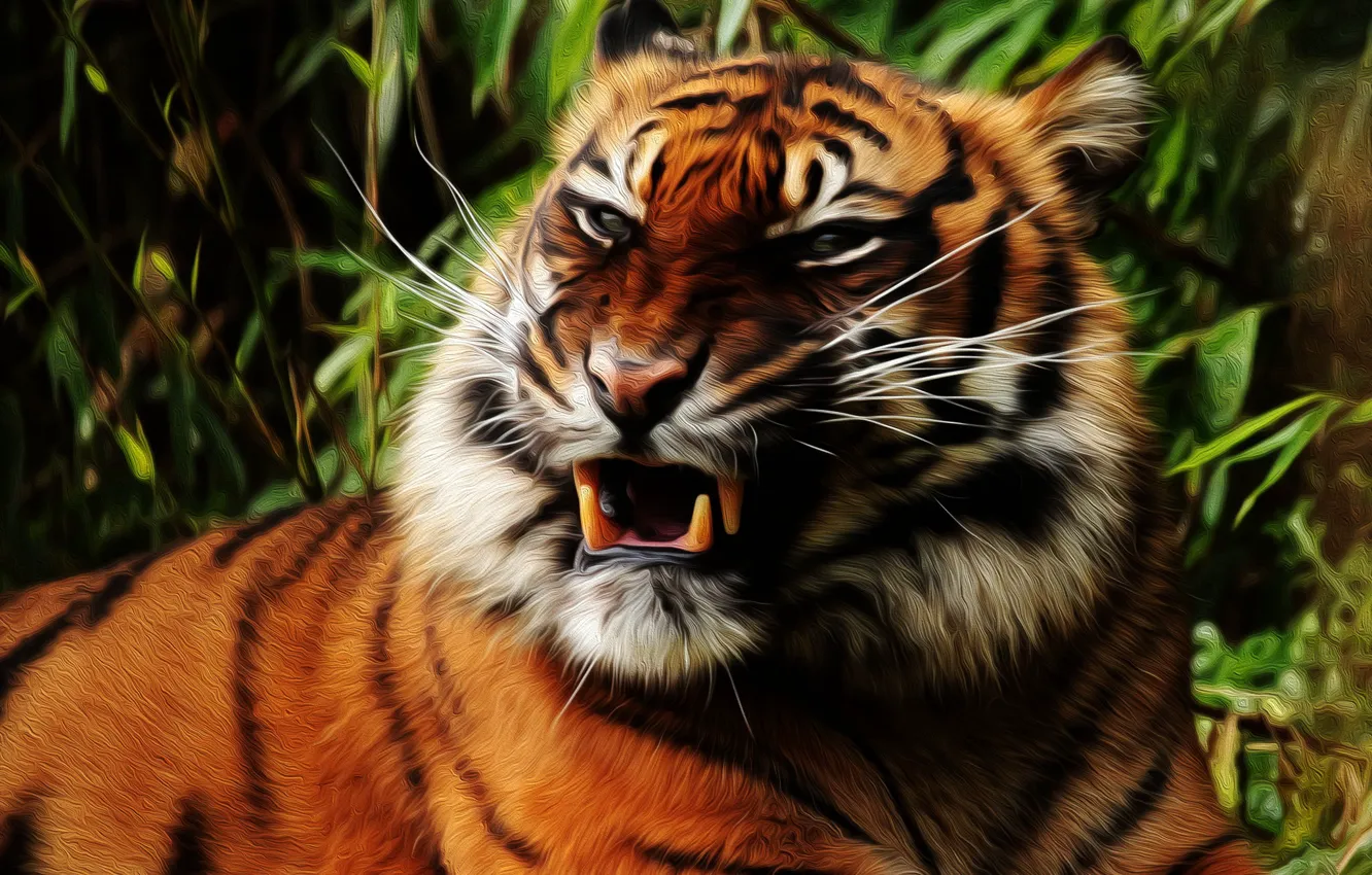 Photo wallpaper face, tiger, fangs