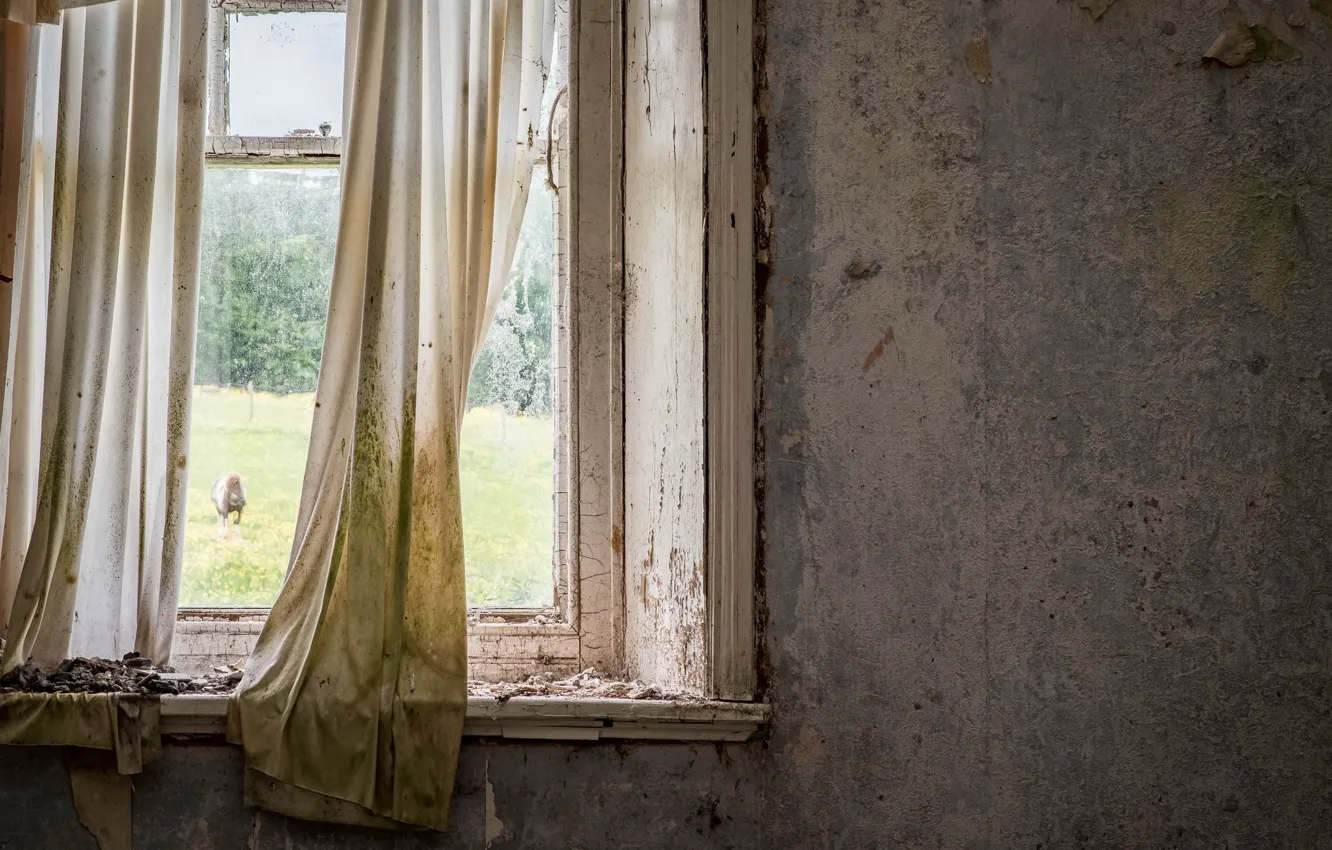 Photo wallpaper window, curtains, naturalism